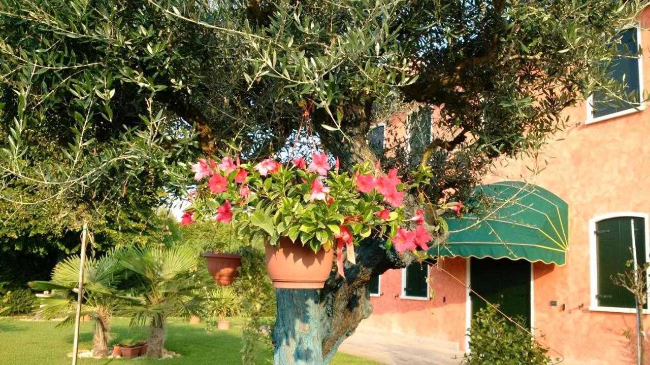 Vigonovo  Il Farfasole B&B 외부 사진